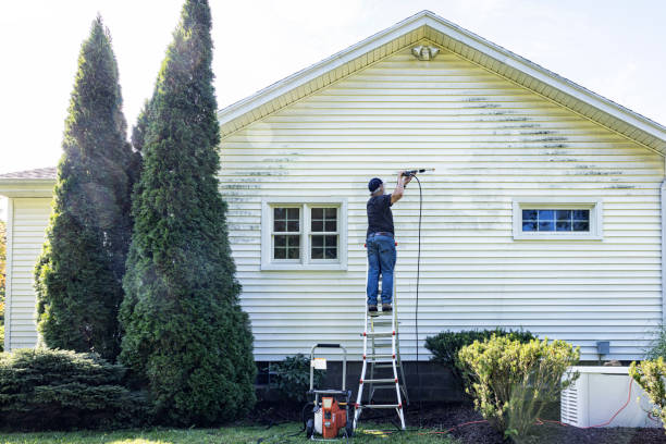 Best Soft Washing  in East Whittier, CA